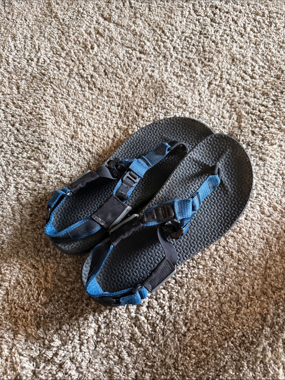 Bedrocks Blue and Black Outdoor Strapped Sandals